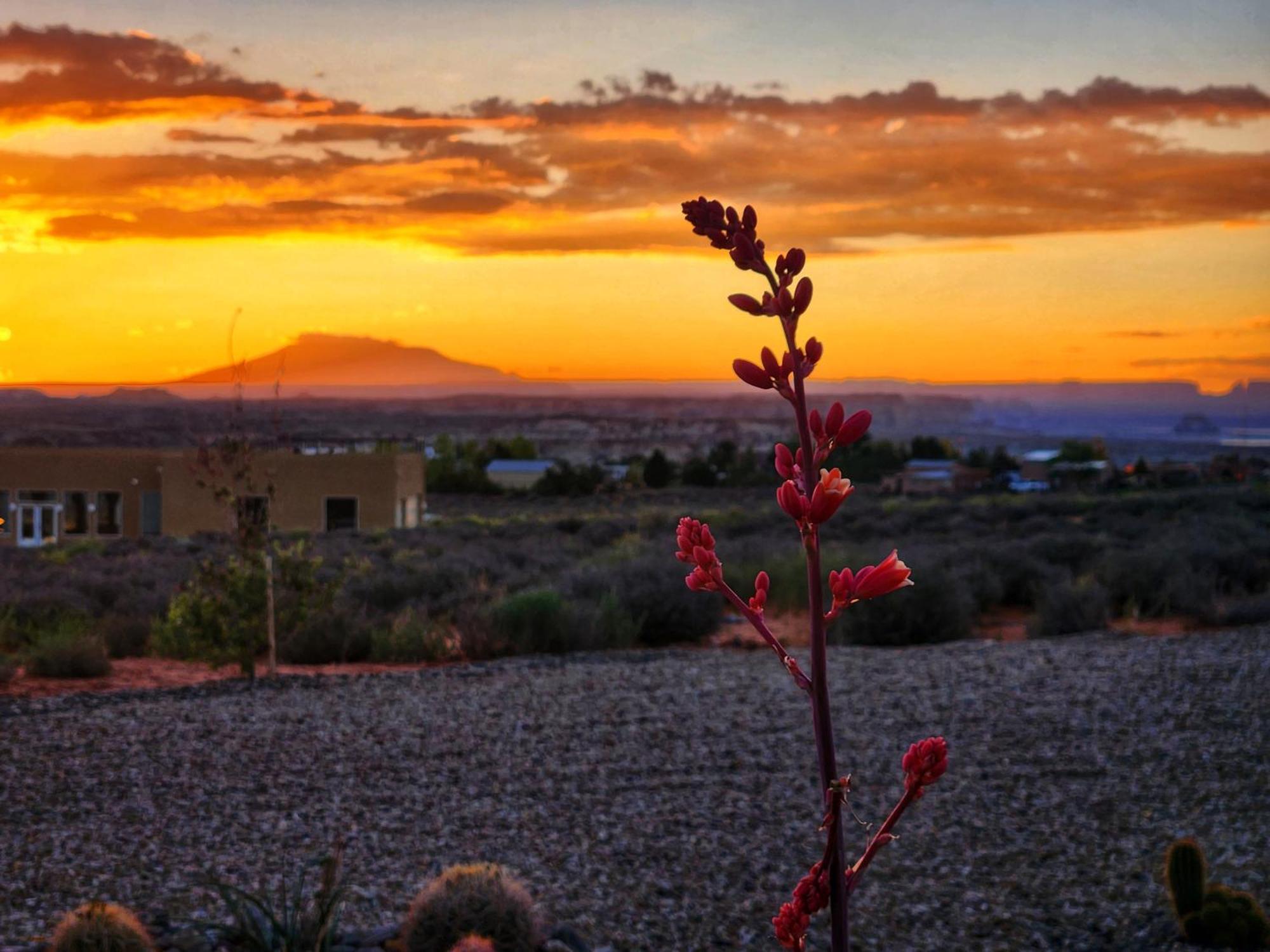 Lake Powell Sunrise Villa By Antelope Canyon ビッグ・ウォーター エクステリア 写真